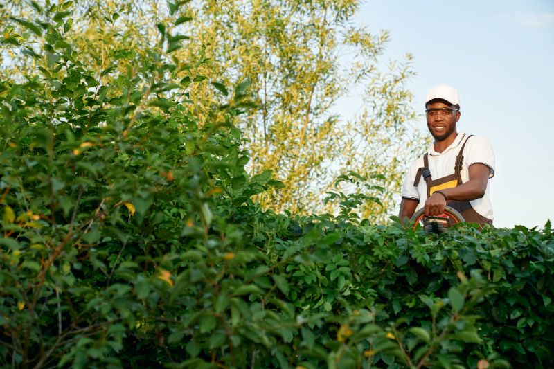 Commercial Shrub Trimming in Aiken, SC