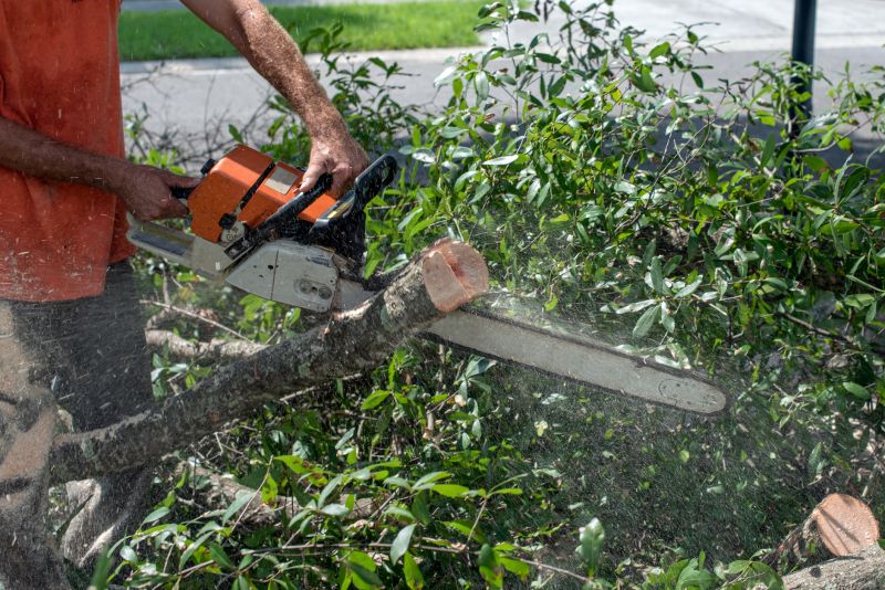 Commercial Tree Trimming in Bucks County, PA