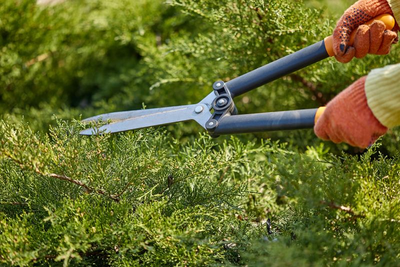Shrub Trimming in Rockwall, TX
