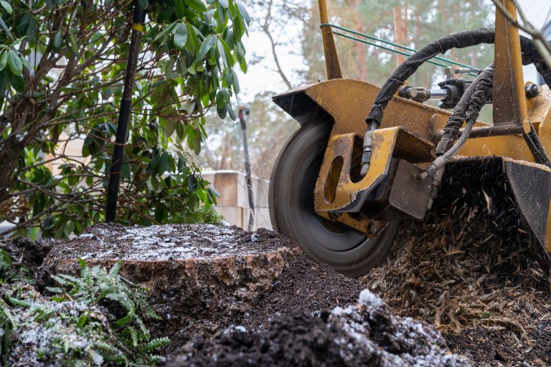 Stump Cutting in Aiken, SC