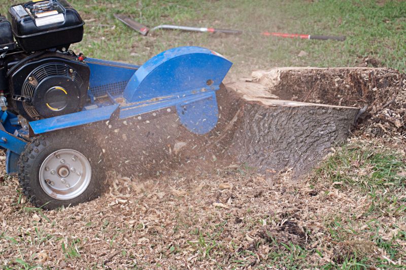 Stump Grinding Service in Aiken, SC