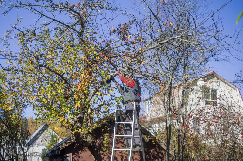 Tree Service in Bucks County, PA
