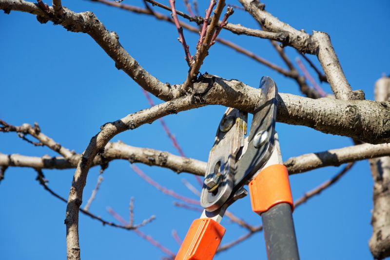 Tree Service in Pottstown, PA