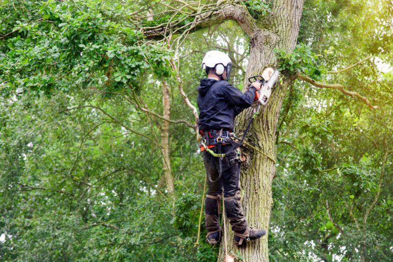 Certified Tree Care Professionals